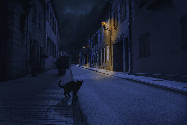 Dark Poster featuring the photograph Le Chat Noir by Omar Brunt