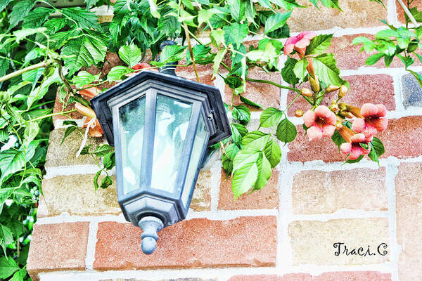 Light Poster featuring the photograph Leave the Porch Light On by Traci Cottingham