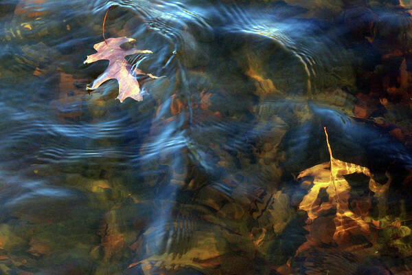 Leaves Poster featuring the photograph Autumn Leaves In Shallow Water With Ripples by Cora Wandel