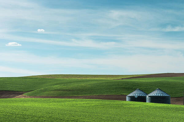 Agriculture Poster featuring the photograph Less is more. by Usha Peddamatham