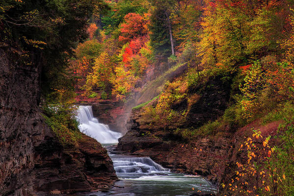 Fall Poster featuring the photograph Letchworth Lower Falls 2 by Mark Papke