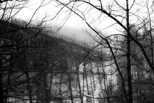 Letchworth Train Tussle Bridge Poster featuring the photograph Letchworth Train Tussle Bridge by Tracy Winter