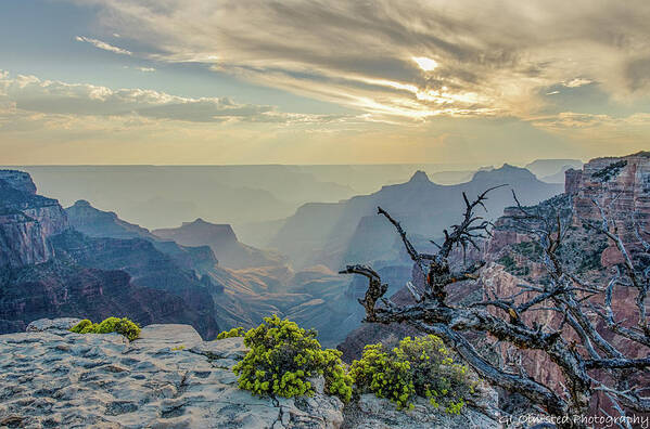 Grand Canyon National Park Poster featuring the photograph Light seeks the depths of Grand Canyon by Gaelyn Olmsted