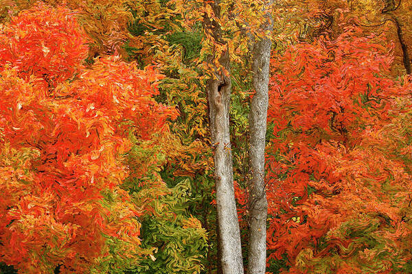 Autumn Poster featuring the digital art Liquid Autumn by Gina Fitzhugh