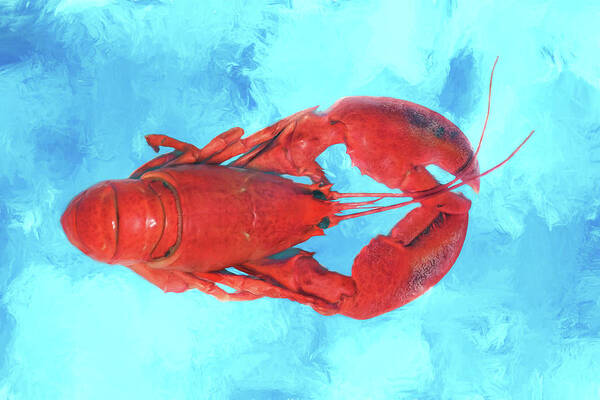 Lobsters Poster featuring the photograph Lobster on Turquoise by Nikolyn McDonald
