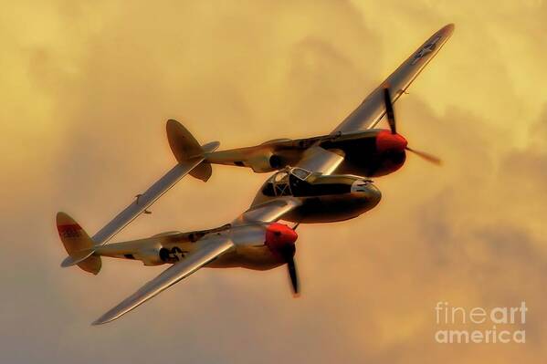 Airplane Poster featuring the photograph Lockheed P-38 Lightning 2011 Chino Air Show by Gus McCrea