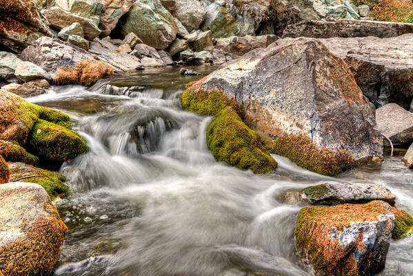 Creek Poster featuring the photograph Logan Creek, Montana 2 by Jedediah Hohf