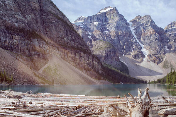 Alberta Poster featuring the photograph Logs at Lake Moraine by Patricia Hofmeester