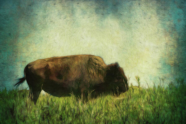 Bison Poster featuring the photograph Lone Bison On The Prairie by Ann Powell