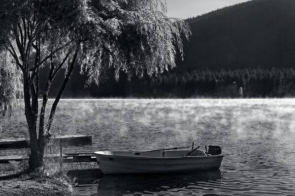 Landscape Poster featuring the photograph Loon Lake Morning Pause by Allan Van Gasbeck