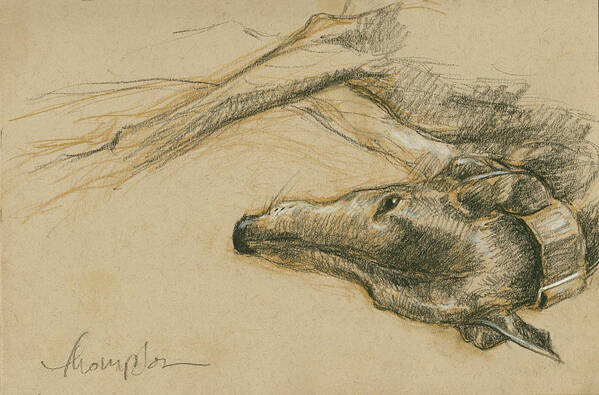 Dog Poster featuring the drawing Lounging Greyhound by Tracie Thompson