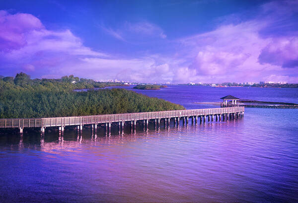 Intracoastal Waterway Poster featuring the photograph Lovely Light on the Intracoastal Waterway by Lynn Bauer