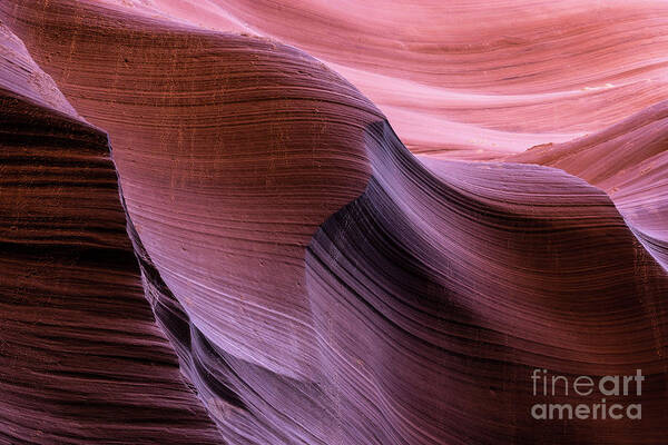 Lower Antelope Canyon Poster featuring the photograph Lower Antelope Canon by Craig Shaknis
