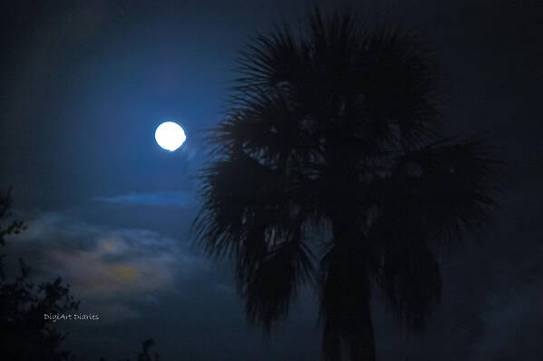 Lunar Poster featuring the photograph Lunar Palm by DigiArt Diaries by Vicky B Fuller