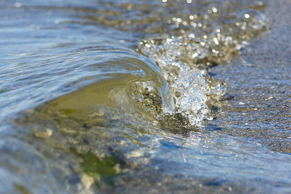 Macro Poster featuring the photograph Macro Wave in the Puget Sound by Matt McDonald