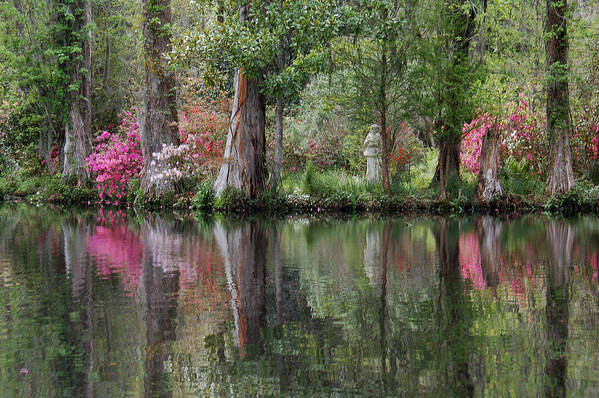 Magnolia Plantation Poster featuring the photograph Magnolia Plantation Gardens Series IV by Suzanne Gaff