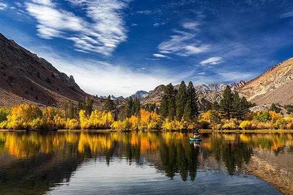 Landscapes Poster featuring the photograph Majestic by Tassanee Angiolillo