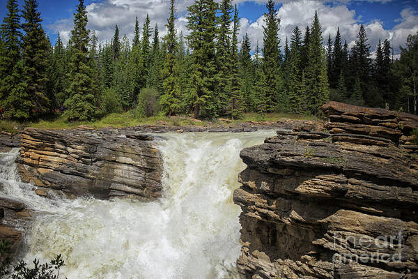 Alberta Poster featuring the photograph Maligne canyon by Patricia Hofmeester