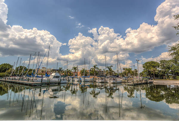 Florida Poster featuring the photograph Marina reflections by Jane Luxton