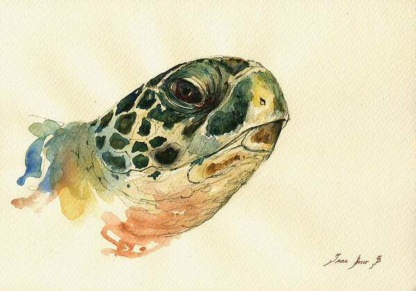 Sea Turtle Poster featuring the painting Marine turtle by Juan Bosco