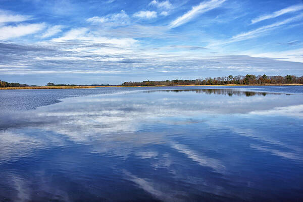eastern Shore Landscape Poster featuring the photograph Maryland - Blackwater National Wildlife Refuge by Brendan Reals