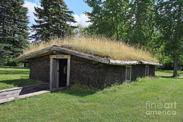Sod House Poster featuring the photograph Mennonite Sod House by Teresa Zieba