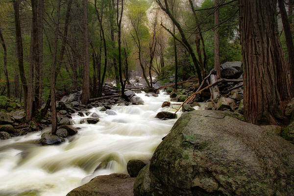 Merced River Poster featuring the photograph Merced River by C Renee Martin