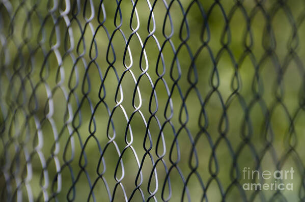 Fence Poster featuring the photograph Metal fence by Mats Silvan