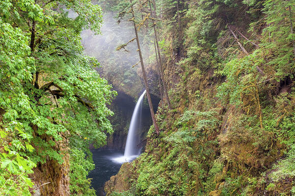 Metlako Falls Poster featuring the photograph Metlako Falls in Columbia River Gorge by David Gn