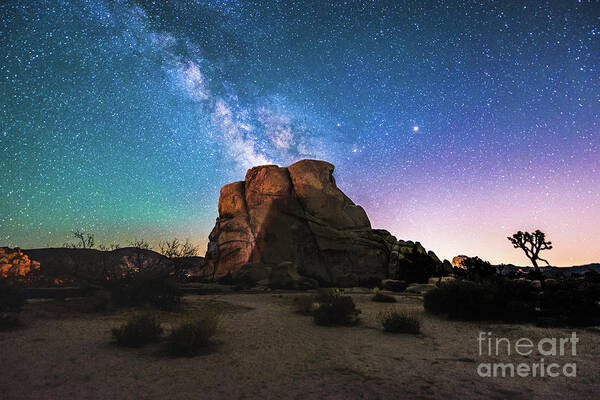 Joshua Tree Poster featuring the photograph Milky Way Eruption by Robert Loe