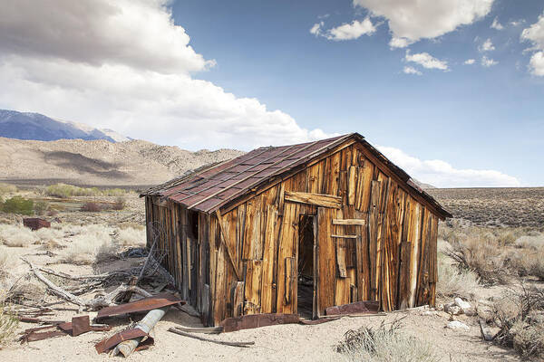 Benton Poster featuring the photograph Miner's Shack in Benton Hot Springs by Michele Cornelius