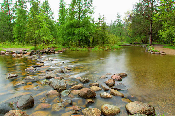 Mississippi Headwaters Poster featuring the photograph Mississippi Begins by Nancy Dunivin