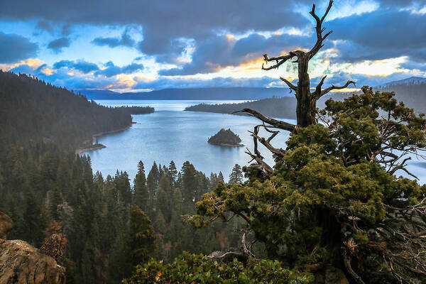 I Was Up Riding My Bike Around Emerald Bay And It Started Snowing Just As The Light Started Looking Really Cool Poster featuring the photograph Mistic Tahoe Sunrise by Mike Herron