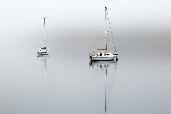 Boats Poster featuring the photograph Misty Boats by Grant Glendinning