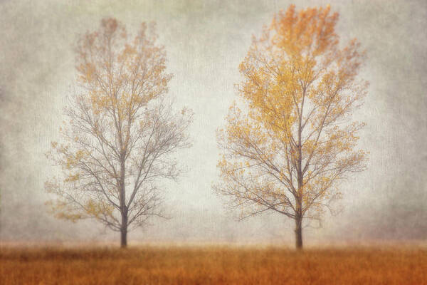 Autumn Poster featuring the photograph Misty Duo by Leda Robertson
