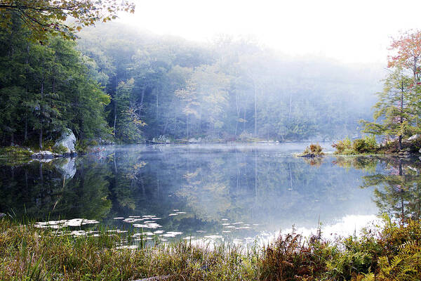 Fog Poster featuring the photograph Misty Morning at John Burroughs #1 by Jeff Severson