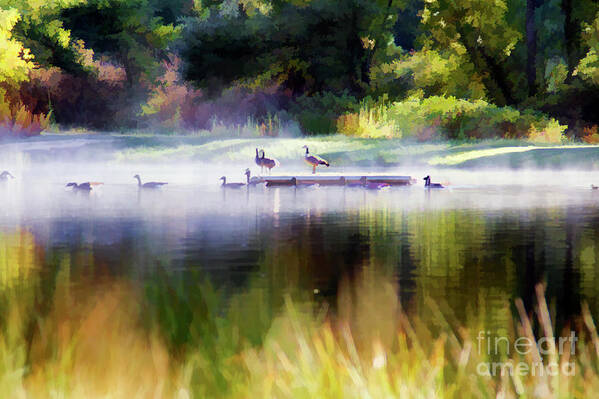 Landscape Poster featuring the photograph Misty Pond 6 AM Paint by Chuck Kuhn
