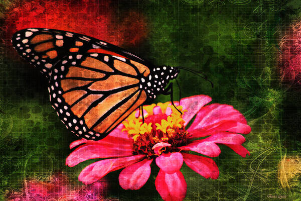 Monarch Butterfly Poster featuring the photograph Monarch Butterfly Dreamer by Anna Louise