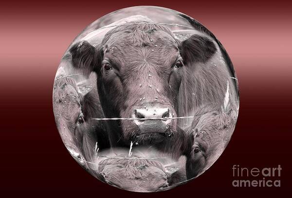 Abstract Poster featuring the photograph Monochrome Cows by Rick Rauzi