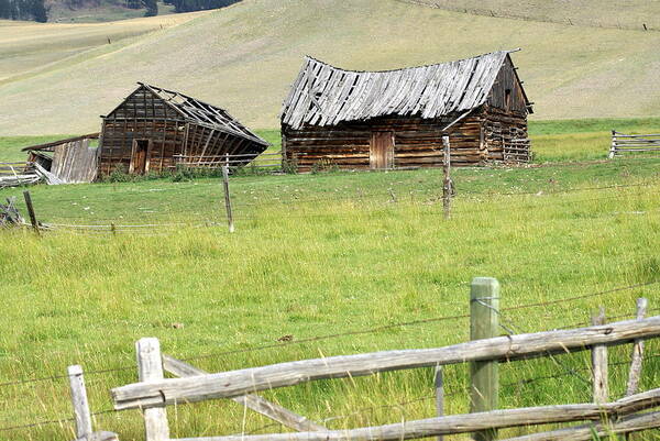 Barns Poster featuring the photograph Montana ranch by Marty Koch