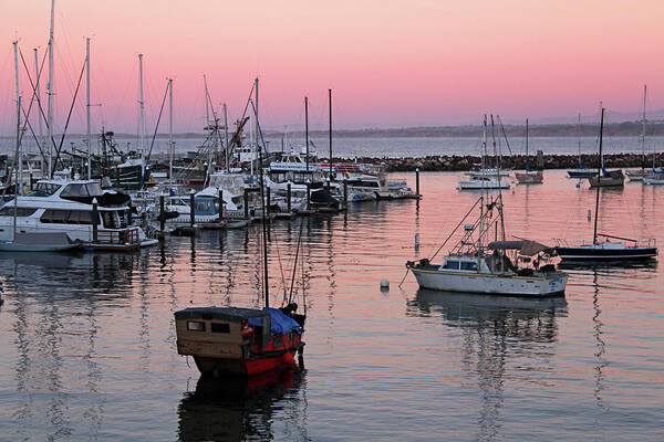 Monterey Poster featuring the photograph Monterey Bay Harbor by Dr Janine Williams