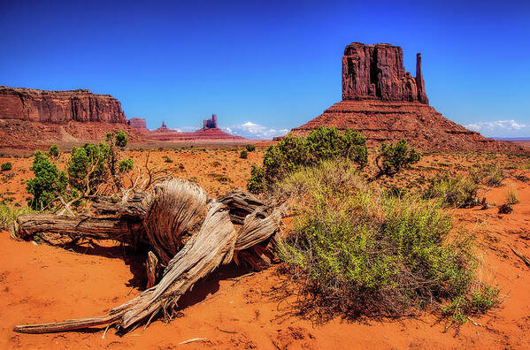 Monument Valley Desert Poster featuring the photograph Monument Valley Desert by Carolyn Derstine