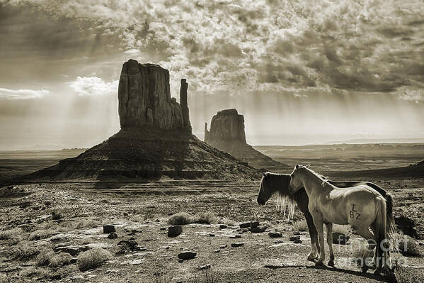 Monument Valley Horses - Sepia Poster featuring the photograph Monument Valley Horses - Sepia by Priscilla Burgers