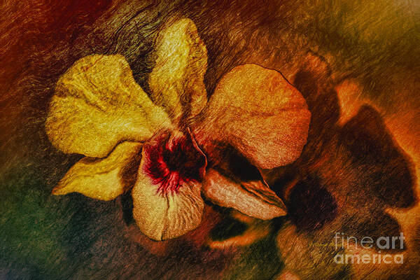 Orchid Poster featuring the painting Mood of the Orchid by Deborah Benoit