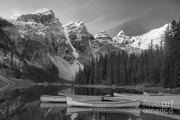 Moraine Lake Moraine Lake Black And White Poster featuring the photograph Moraine Lake In Black And White by Adam Jewell