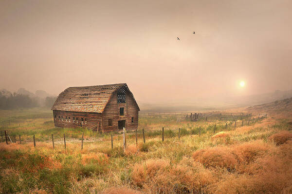 Haynes; Barn; Milky Way; Penticton; Oliver; John Poon Poster featuring the photograph Morning Flight by John Poon