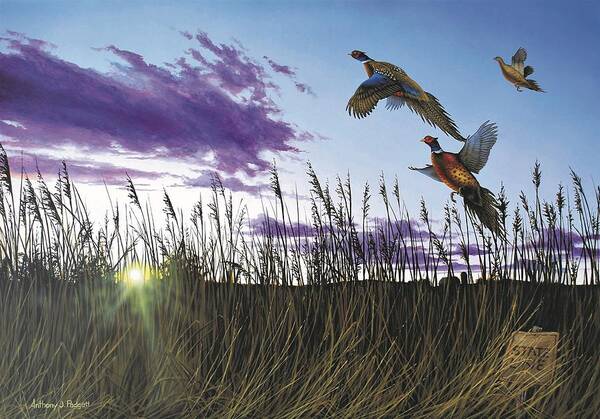 Pheasants Poster featuring the painting Morning Glory by Anthony J Padgett