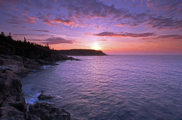 Acadia National Park Poster featuring the photograph Morning Glory by Juergen Roth