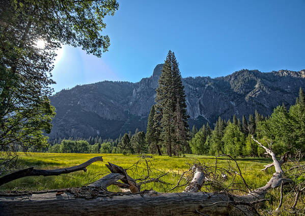 Yosemite Poster featuring the photograph Morning in The Meadow by Phil Abrams