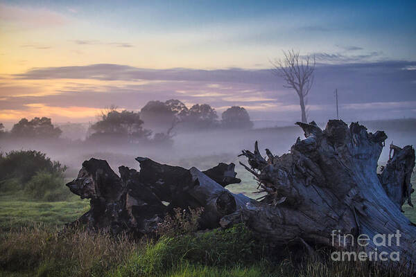 Morning Poster featuring the photograph Morning mist by Sheila Smart Fine Art Photography